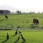 In The Vorbergblick בית נופש Reichersbeuern