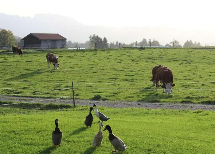 In The Vorbergblick 펜션 Reichersbeuern